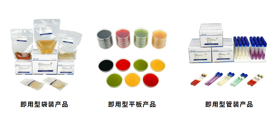 北京陸橋邀請(qǐng)您參加CBIFS第十七屆食品安全技術(shù)論壇（2025年4月·杭州）